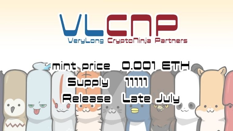 VLCNP詳細画像